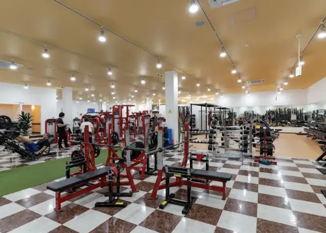 MUSCLE GYM TOKYO 金沢店のジム内画像