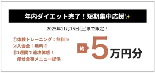 リタスタイルの2025年11月のキャンペーン概要